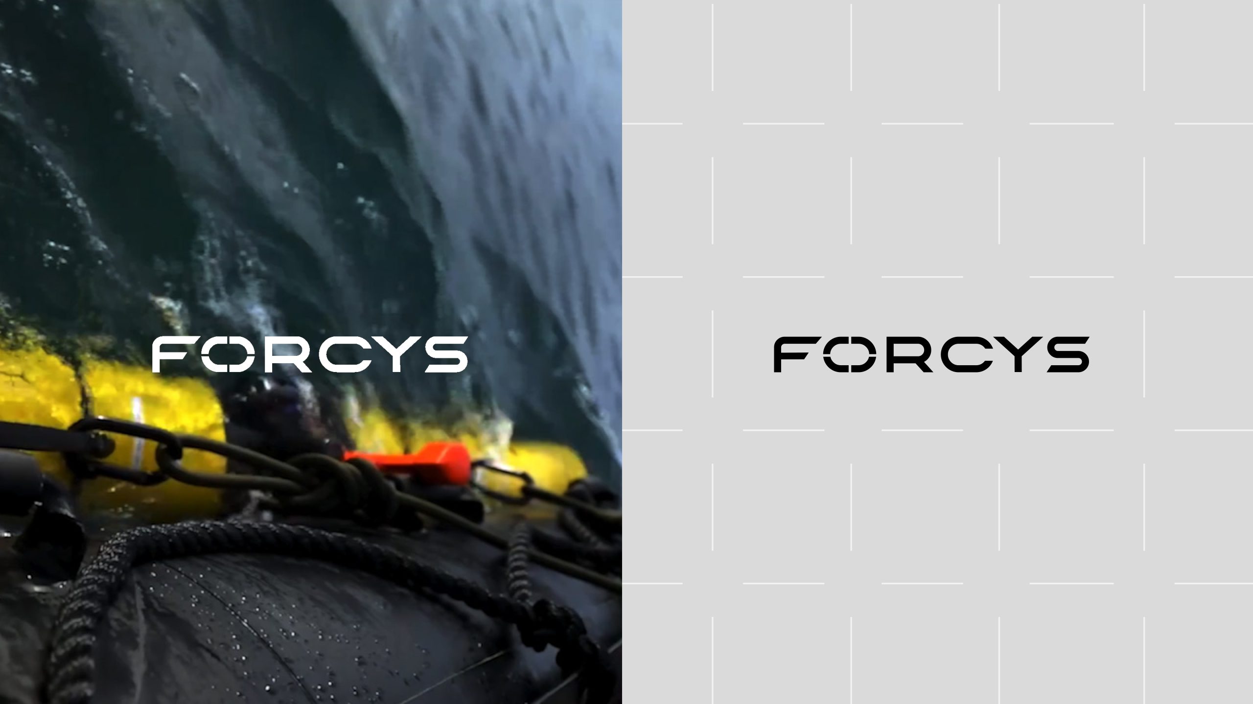 Forcys Logos on Grid & Image